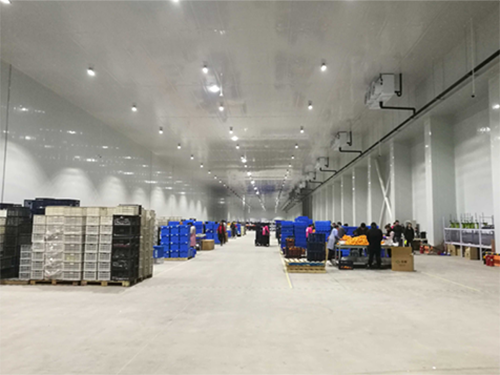 建設8000平米電商物流低溫冷藏庫費用造價是多少? 建設8000平米電商物流低溫冷藏庫費用造價是多少?