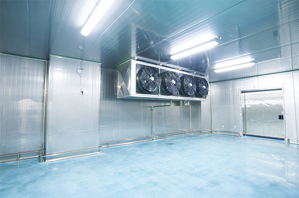 建設(shè)3000㎡中央廚房冷藏庫費用價格需要多少？