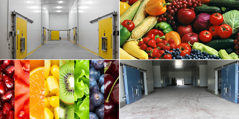 氣調(diào)保鮮庫 大中型果蔬冷藏庫安裝 冷庫定制安裝 氣調(diào)保鮮庫 大中型果蔬冷藏庫安裝 冷庫定制安裝