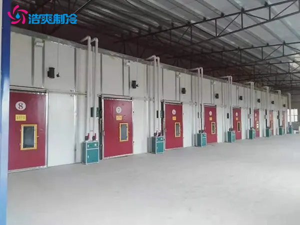 果蔬氣調(diào)冷藏庫(kù) 火龍果 獼猴桃冷庫(kù)建造 鮮花保鮮冷庫(kù) 果蔬氣調(diào)冷藏庫(kù) 火龍果 獼猴桃冷庫(kù)建造 鮮花保鮮冷庫(kù)