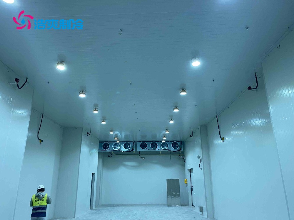 疫苗 藥劑等醫(yī)藥冷庫建造要求及冷庫類型 疫苗 藥劑等醫(yī)藥冷庫建造要求及冷庫類型