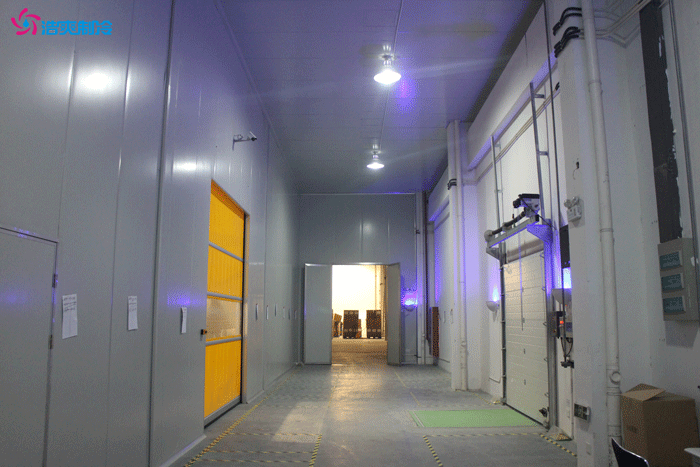 冷庫建造及價格全面解析，冷庫設計安裝