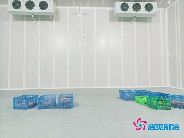 200噸蔬菜保鮮冷庫(kù)造價(jià)多少錢？需要多大面積？