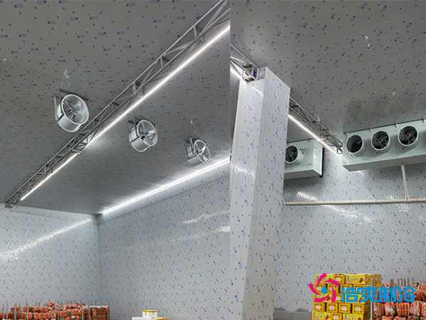 2000平冷庫造價(jià)揭秘：這些因素讓你多花幾十萬！