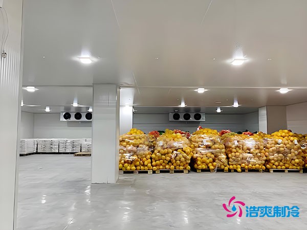 20噸玉米如何長期保鮮？冷庫造價大揭秘！