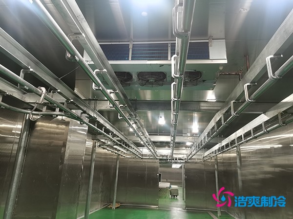 肉類(lèi)冷庫(kù)建造費(fèi)用及設(shè)計(jì)解析