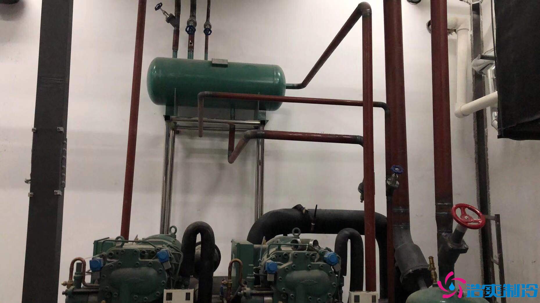 天津真功夫連鎖餐飲建造7000m3冷藏、冷凍庫(kù)新工程案例