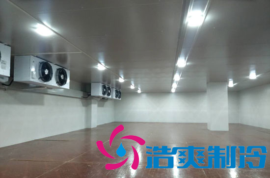 上海奶制品廠1000平米牛奶冷庫(牛乳冷藏庫)建造預算多少