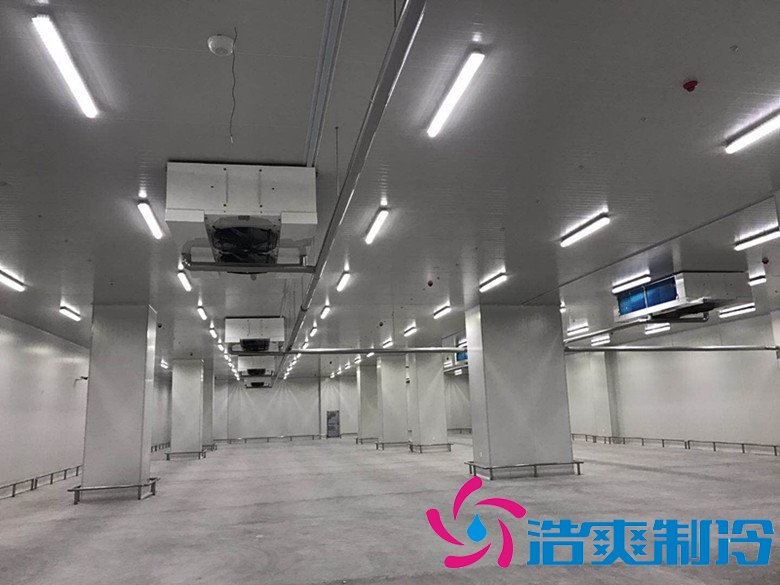 港口冷鏈冷庫(kù)市場(chǎng)趨勢(shì)和現(xiàn)狀，萬噸港口冷鏈低溫倉(cāng)儲(chǔ)造價(jià)預(yù)算