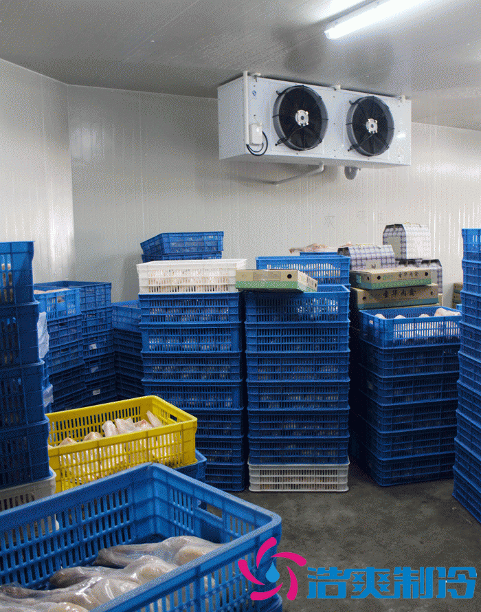 上海雞肉冷庫(kù)、雞排冷凍庫(kù)