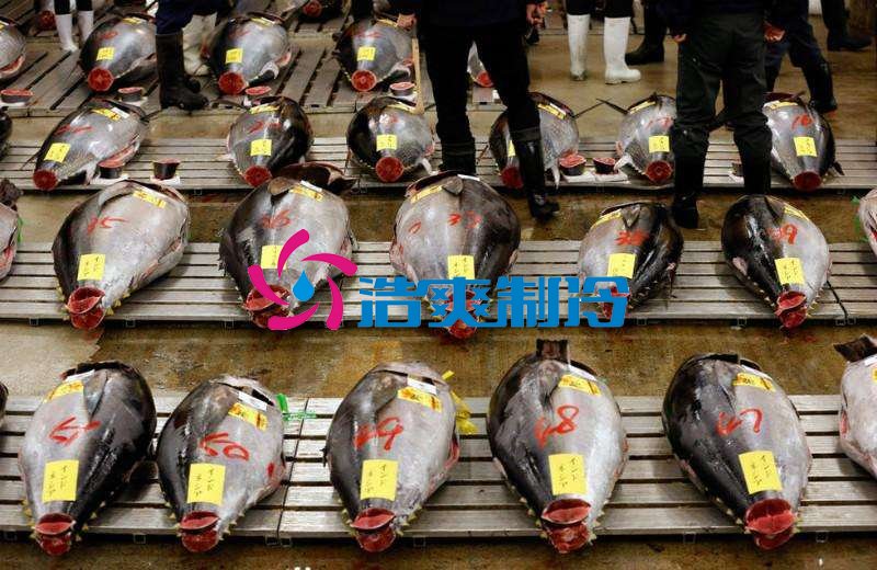 浩爽制冷,金槍魚冷庫,超低溫冷凍庫